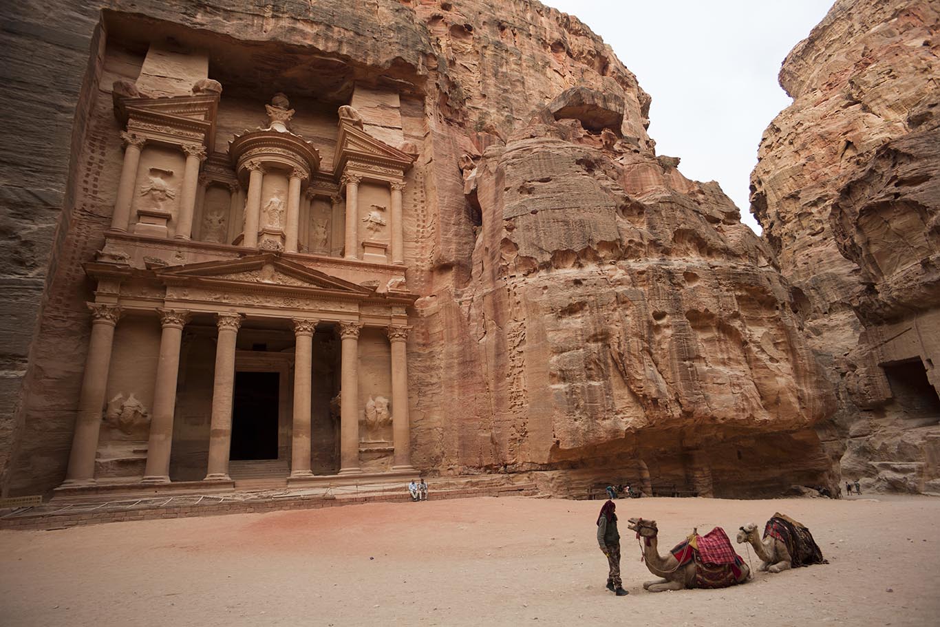 la facciata di El Khasneh un momumento scavato nella roccia a Petra con due cammelli che si riposano davanti. 