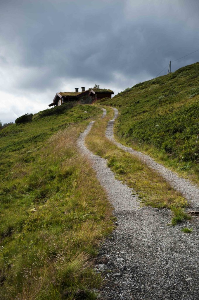 Sentiero di montagna che conduce a un rifugio alpino immerso nel verde a Hardangervidda, Norvegia.