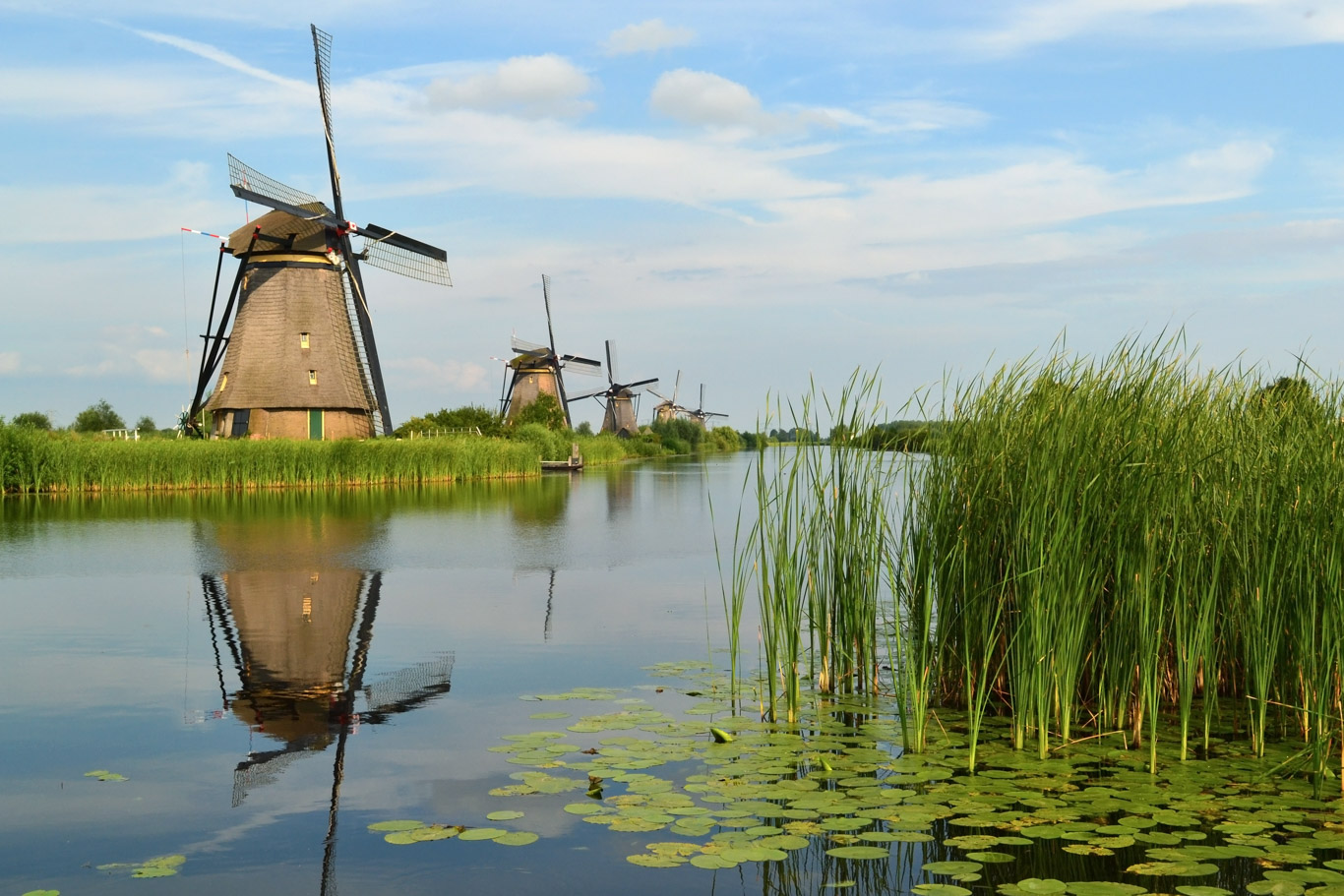 Image of windmills reflecting on a body of water.