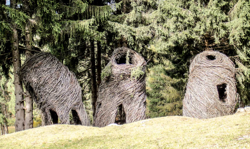 Installazioni d’arte contemporanea nel parco di Arte Sella a Borgo Valsugana, immerse nella natura.