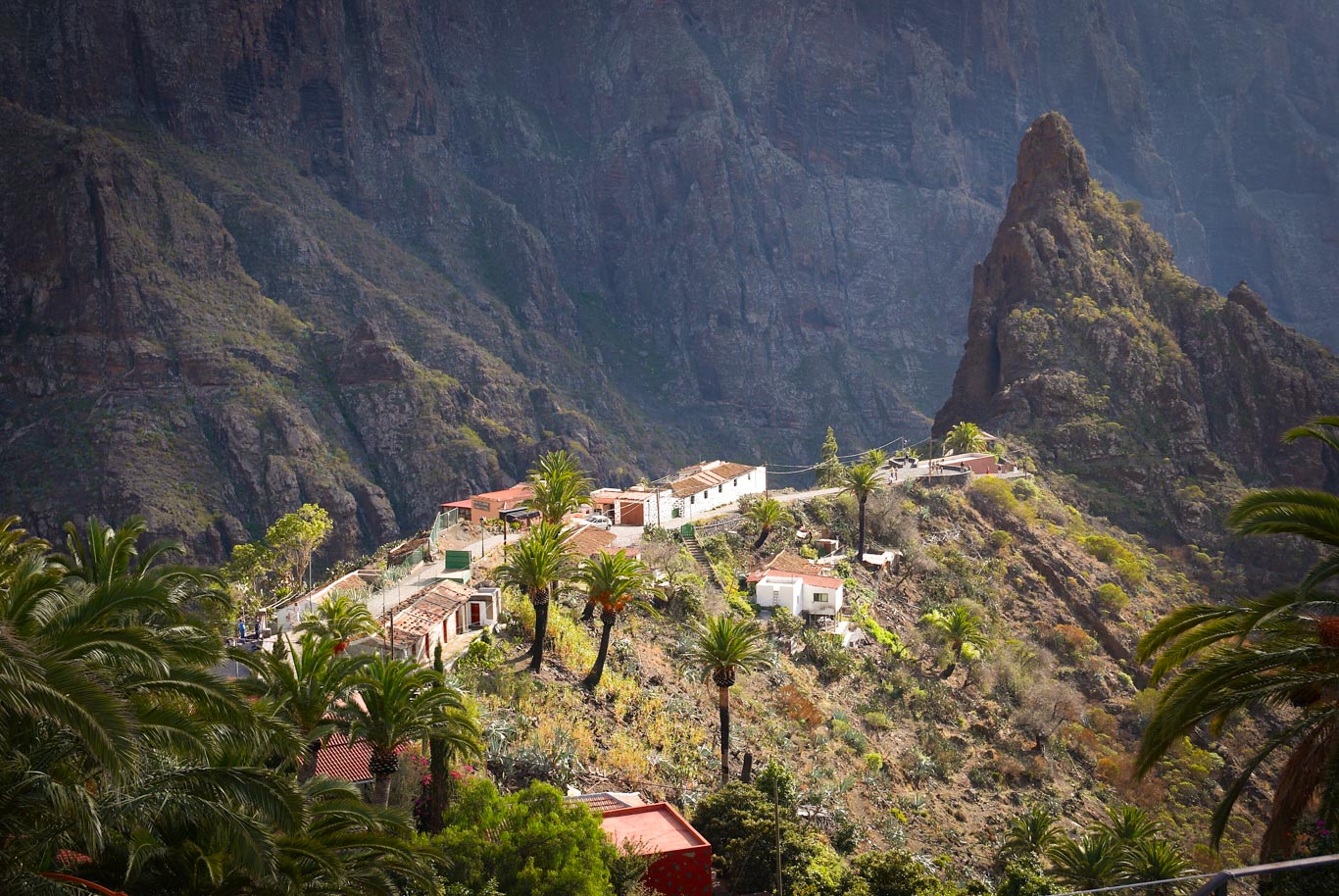 Vista su una collina di Tenerife con qualche casa e palme