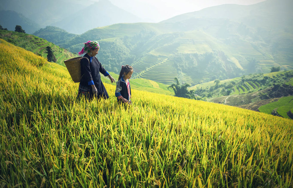 Signora e bambina attraversano le risaie verdi della campagna cambogiana