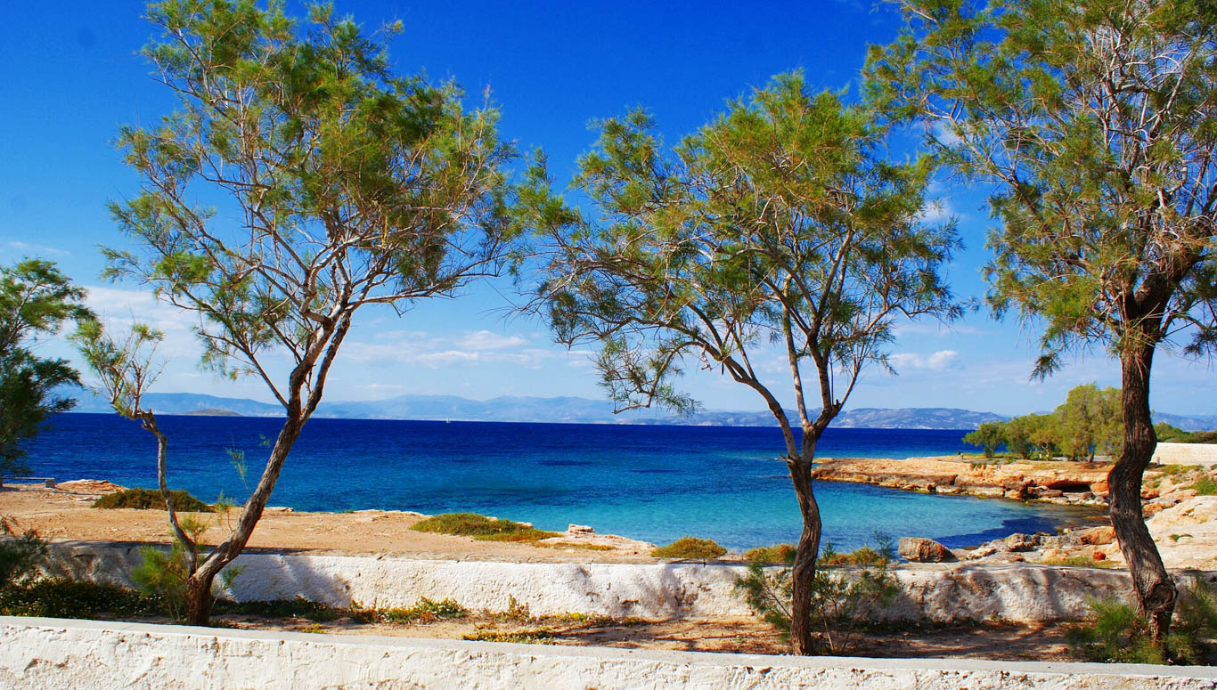 Paesaggio di mare e tre alberi con tronco fino in primo piano