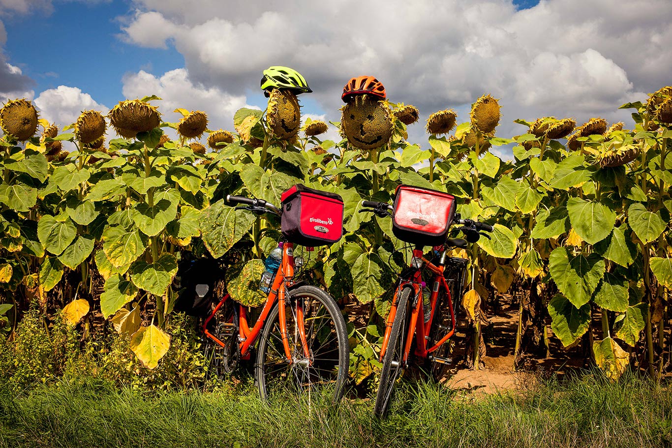 Castelli della Loira in bici e famiglia