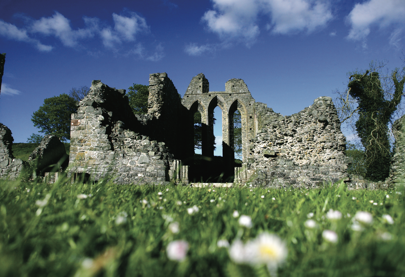 Vista sulle rovine della Inch Abbey