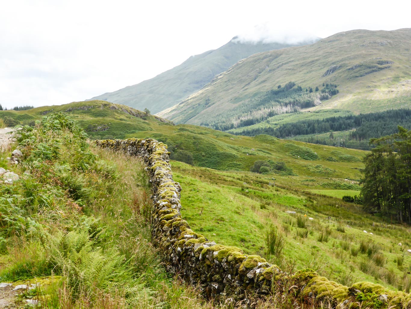 Panorama tra il verde tipico lungo il West Highland Way, trekking Scozia "Girolibero"