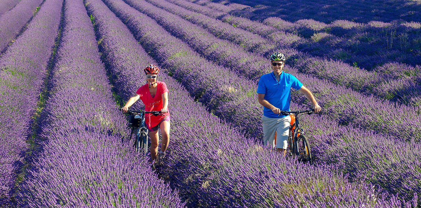 Via Rhona due ciclisti immersi in un campo di lavanda