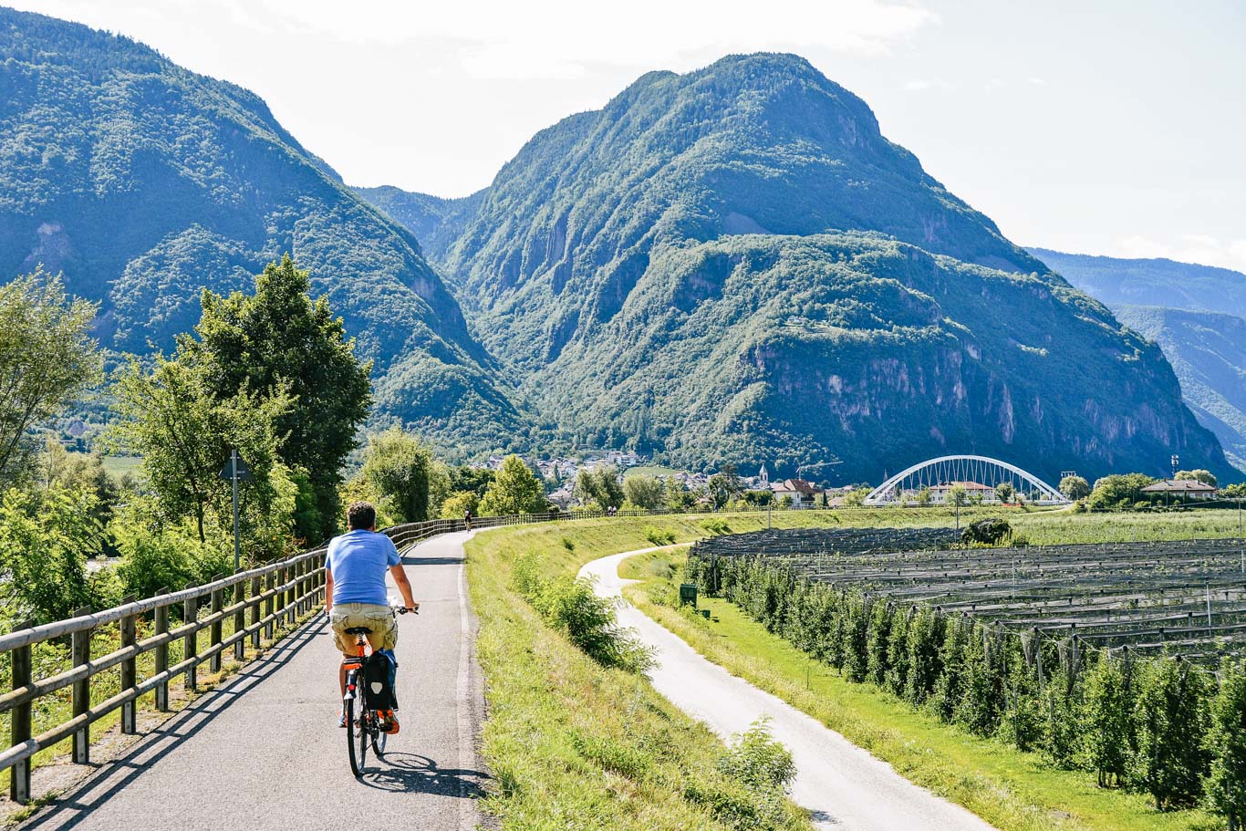 Cyclist pedals along the Adige River Cycle Path surrounded by mountains and vineyards