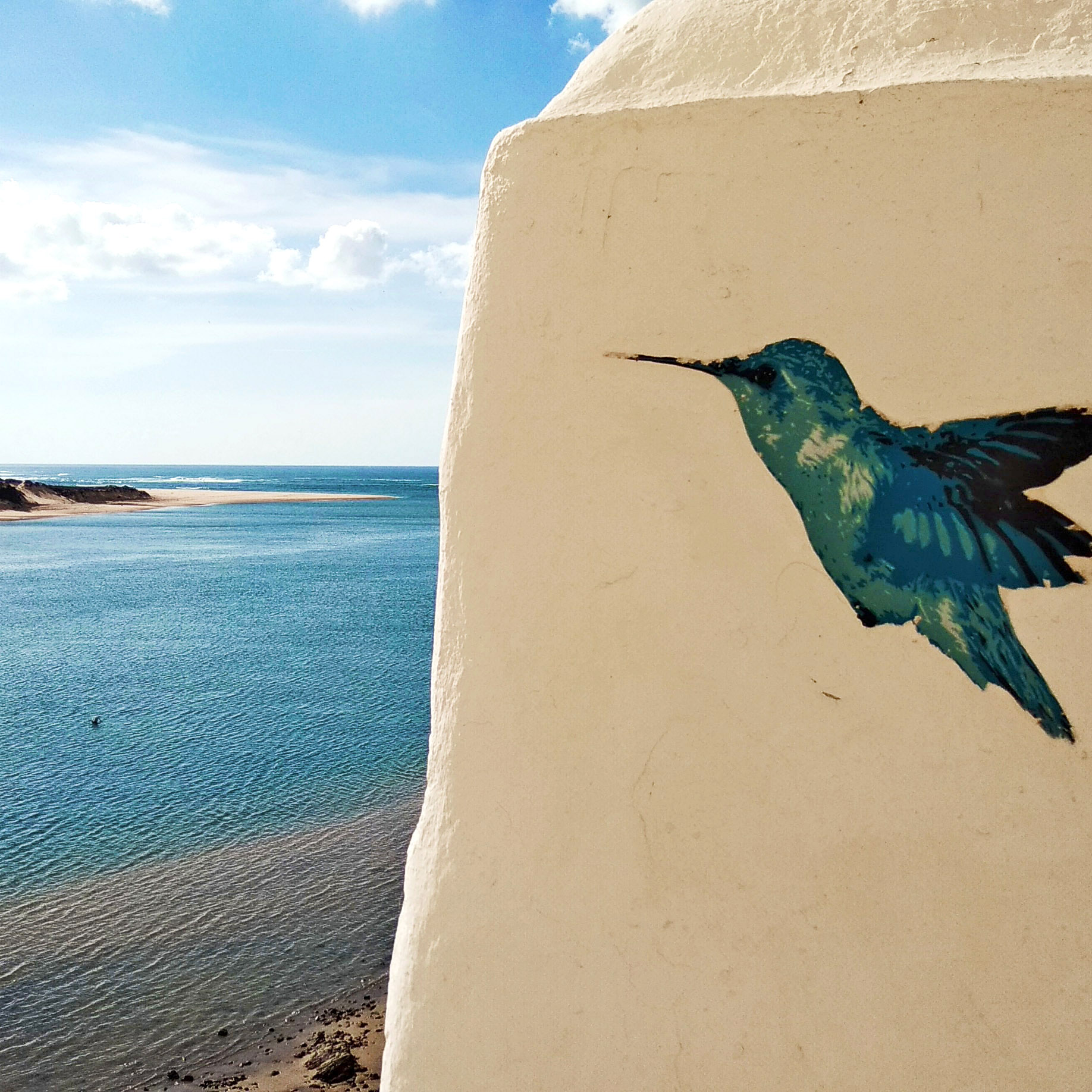 Mare a sinistra e murales colorato di un colibrì in un muro a destra