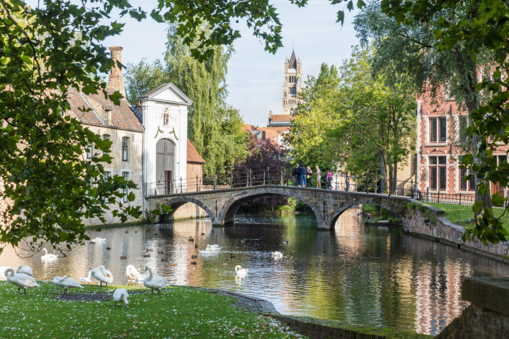 Typical Flemish canal with a group of geese in the foreground.