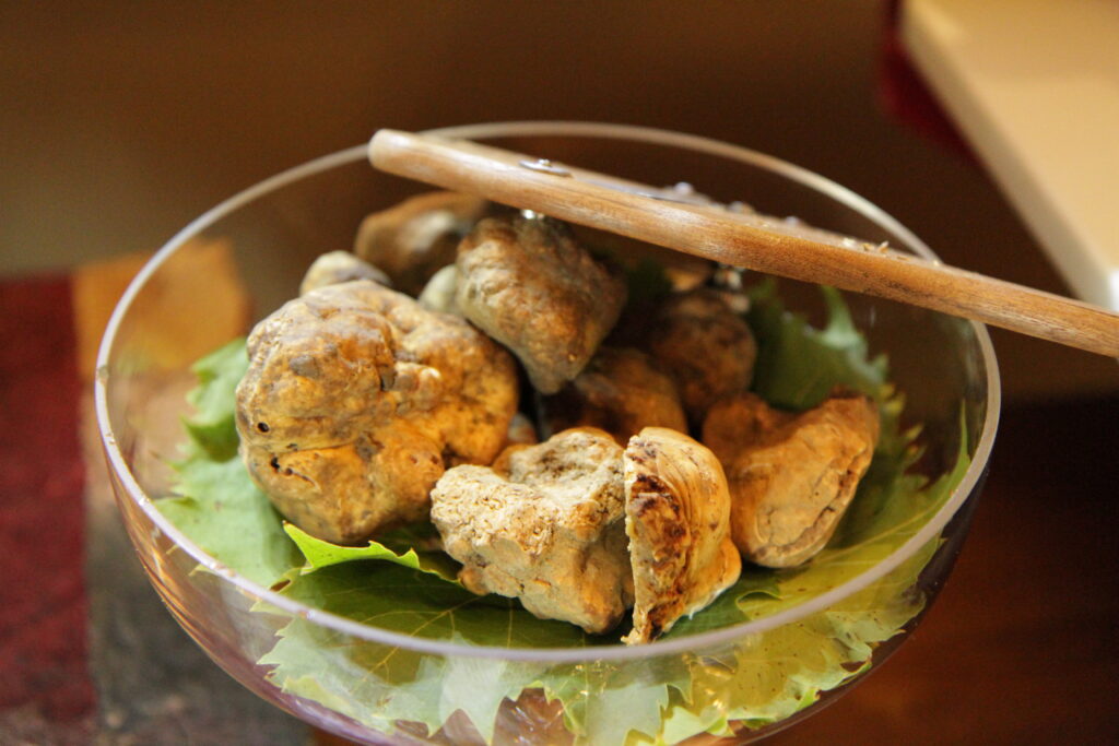 Plate of Alba truffles lying on top of aromatic leaves, wooden wand, cycling vacation, Piedmont